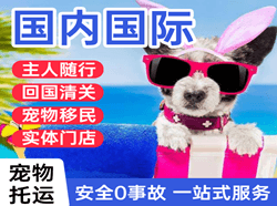 东河机场快递国际宠物托运 【国